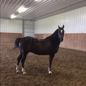 Meet your Posher, Natalie